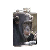 Het denken over het Monkeying rond Heupfles (Rechts)