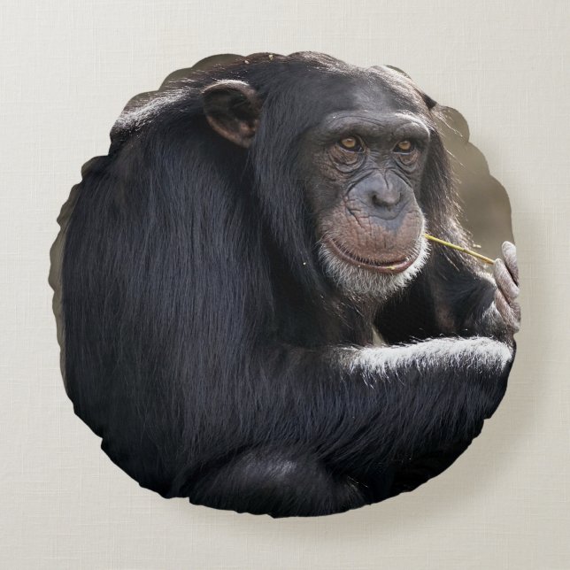 Het denken over het Monkeying rond Kussen (Voorkant)