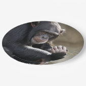 Het denken over het Monkeying rond Papieren Bordje (Gekanteld)