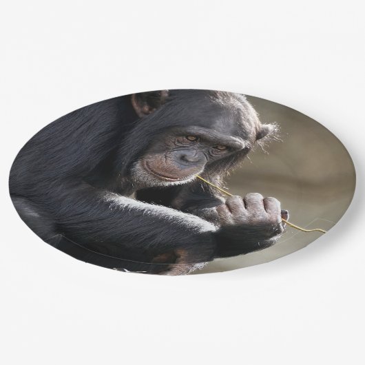 Het denken over het Monkeying rond Papieren Bordje (Gekanteld)