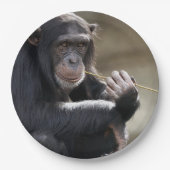 Het denken over het Monkeying rond Papieren Bordje (Voorkant)