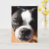 Het DENKEN van Boston Terrier AAN U wenskaart Kaart (Gele Bloem)