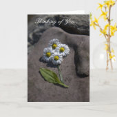 Het Denken van "Daisy" aan u. Kaart (Gele Bloem)
