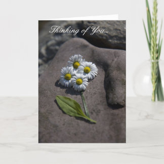 Het Denken van "Daisy" aan u. Kaart