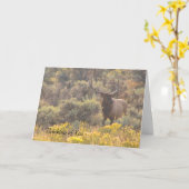 Het Denken van de Douane van de Elanden van de Kaart (Gele Bloem)