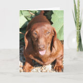 Het Denken van de tekkel aan u Kaart (Voorkant)