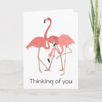 Het Denken van het Trio van de flamingo aan u