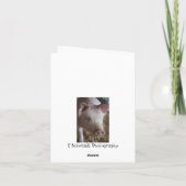 Het Denken van het varken aan u Kaart (Achterkant)