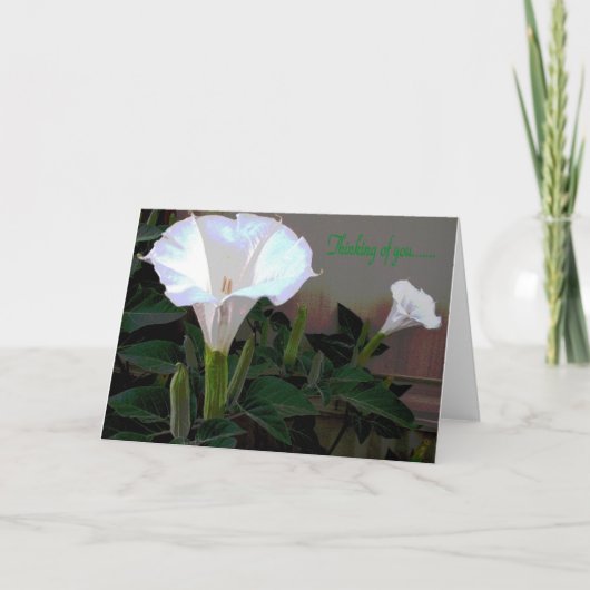 Het Denken van Moonflower aan u Kaart (Voorkant)
