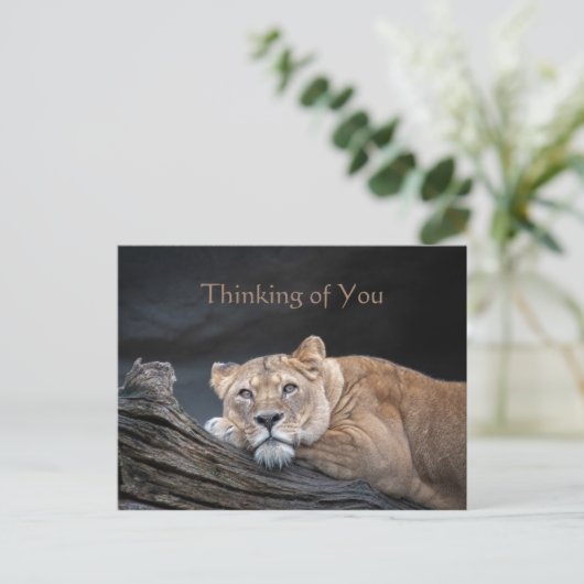 Het denken van u citeert het Briefkaart van het Af (Staand voorkant)