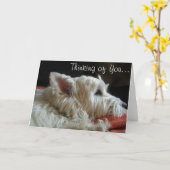 Het Denken van Westie aan u het Wenskaart van de Kaart (Gele Bloem)