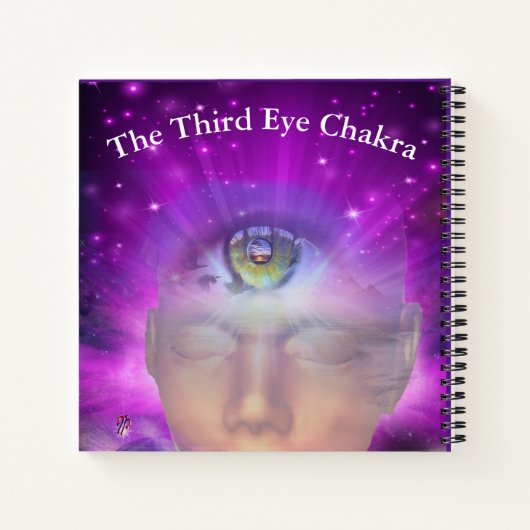 Het Derde Oog Doodle Journal Notitieboek (Achterkant)