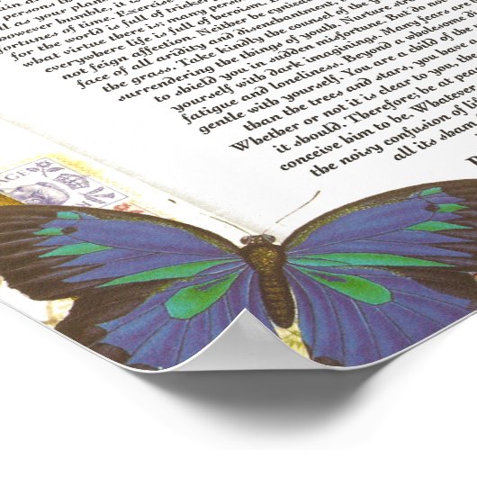 Het Desiderata-gedicht met palmboom en vlinder Poster (Hoek)