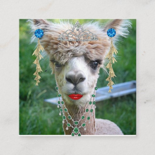 Het Design van Barbeli Vierkante Visitekaartje (Voorkant)