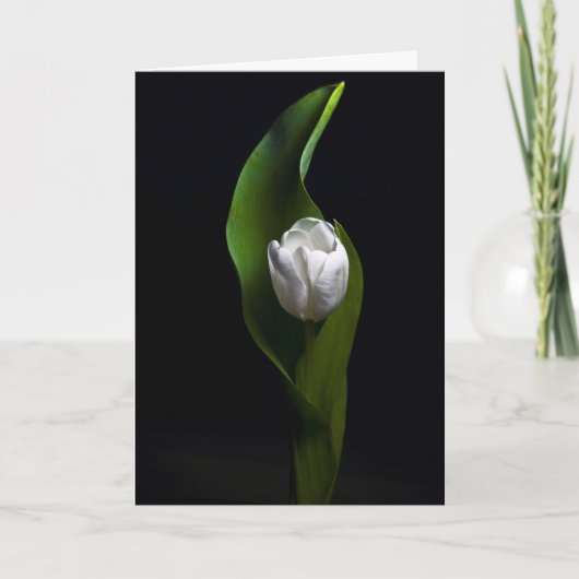 Het Design van de tulp Feestdagen Kaart (Voorkant)