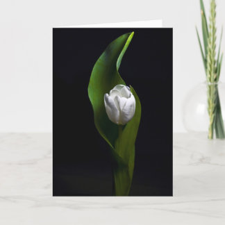 Het Design van de tulp Feestdagen Kaart