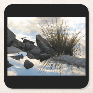 Het Detail-meer bij Marie Lakes, Sierras Kartonnen Onderzetters