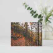 HET DEVIL'S GLEN, WICKLOW MOUNTAINS, IERLAND BRIEFKAART (Staand voorkant)