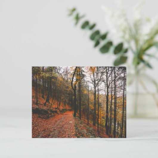 HET DEVIL'S GLEN, WICKLOW MOUNTAINS, IERLAND BRIEFKAART (Staand voorkant)