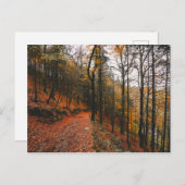 HET DEVIL'S GLEN, WICKLOW MOUNTAINS, IERLAND BRIEFKAART (Voorkant / Achterkant)