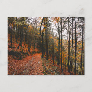 HET DEVIL'S GLEN, WICKLOW MOUNTAINS, IERLAND BRIEFKAART