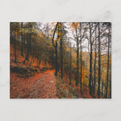 HET DEVIL'S GLEN, WICKLOW MOUNTAINS, IERLAND BRIEFKAART (Voorkant)