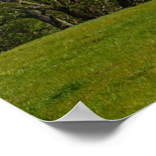 Het Diablo-Uitzicht van de Hills in Alamo Ca monte Poster (Hoek)