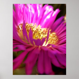 Het dichtere Poster van het Macro van de Natuur va