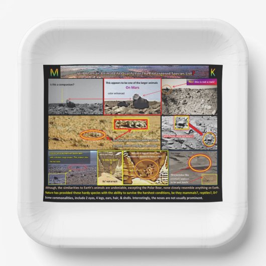 Het dierenleven van Mars Papieren Bordje (Voorkant)