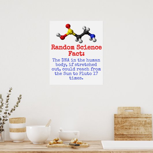 Het DNA in het menselijk lichaam - wetenschapsfeit Poster (Keuken)