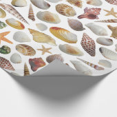 Het document van de Verzamelaar van Shell dat verp Cadeaupapier (Hoek)