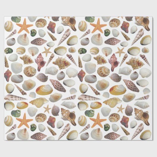 Het document van de Verzamelaar van Shell dat verp Cadeaupapier (Vlak)