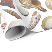 Het document van de Verzamelaar van Shell dat verp Cadeaupapier (Rol Hoek)