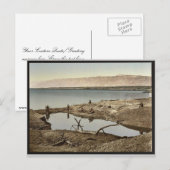 Het dode Zee, II, Jericho, Heilig Land (West) Briefkaart (Voorkant / Achterkant)