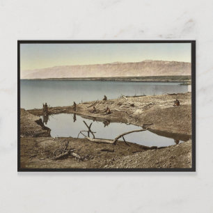 Het dode Zee, II, Jericho, Heilig Land (West) Briefkaart