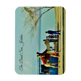 Het dode Zee, Jordanië Magneet