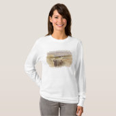 Het dode Zee kijkt naar Moab, Volume II T-shirt (Voorkant volledig)