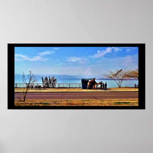 Het dode Zee Poster (Voorkant)