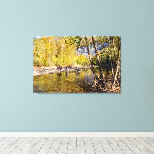 Het doek van de Buffalo Canvas Afdruk (Insitu (Houten vloer))