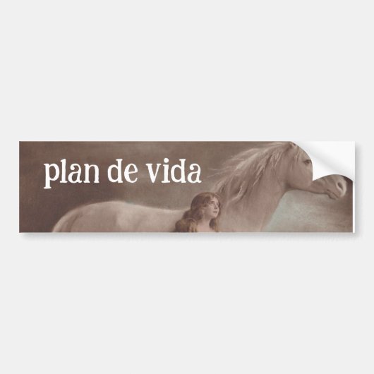 Het doel van het leven Volg je doelplan de vida Bumpersticker (Voorkant)