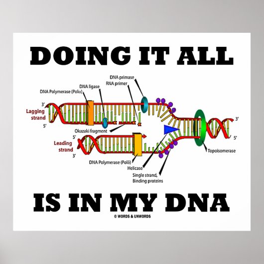 Het doen van alles zit in mijn DNA (DNA-replicatie Poster (Voorkant)
