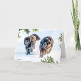 Het donderen in het Nieuwjaar! Feestdagen Kaart