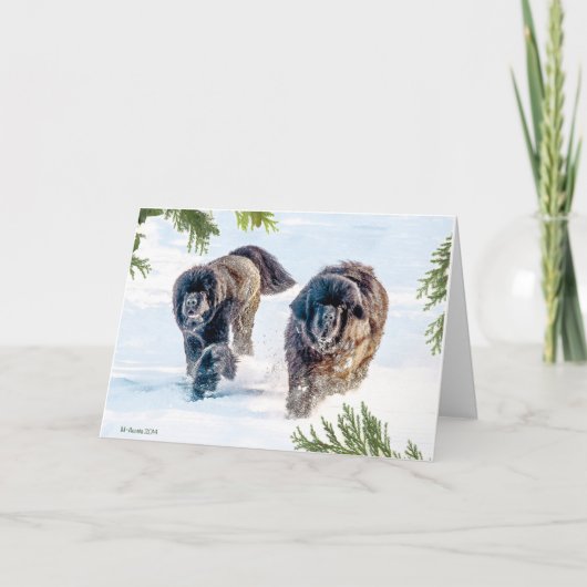 Het donderen in het Nieuwjaar! Feestdagen Kaart (Voorkant)