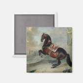 Het donkere paard 'Valido' Magneet (Voorkant / Achterkant)
