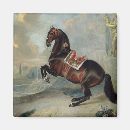 Het donkere paard 'Valido' Magneet (Voorkant)