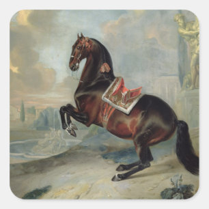 Het donkere paard 'Valido' Vierkante Sticker
