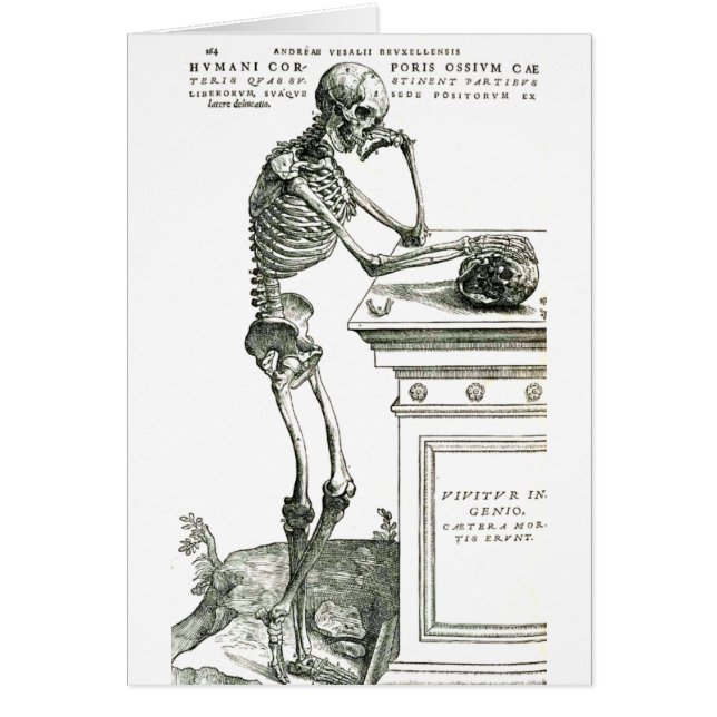 Het doordacht skelet (Voorkant)