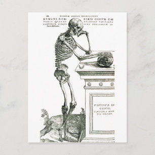 Het doordacht skelet briefkaart