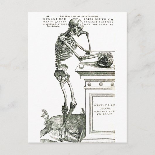 Het doordacht skelet briefkaart (Voorkant)