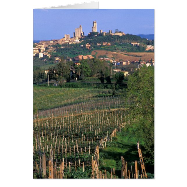 Het dorp San Gimignano ligt in de glooiende (Voorkant)